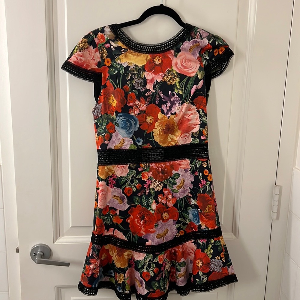 Alice and Olivia dress